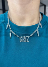 Load image into Gallery viewer, GRIZ
